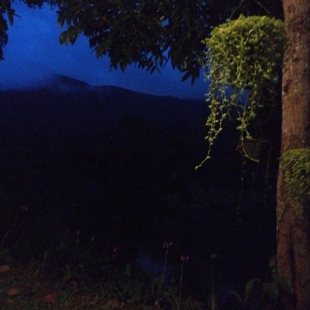 Evergreen Villa - Sinharaja Deniyaya Esterno foto