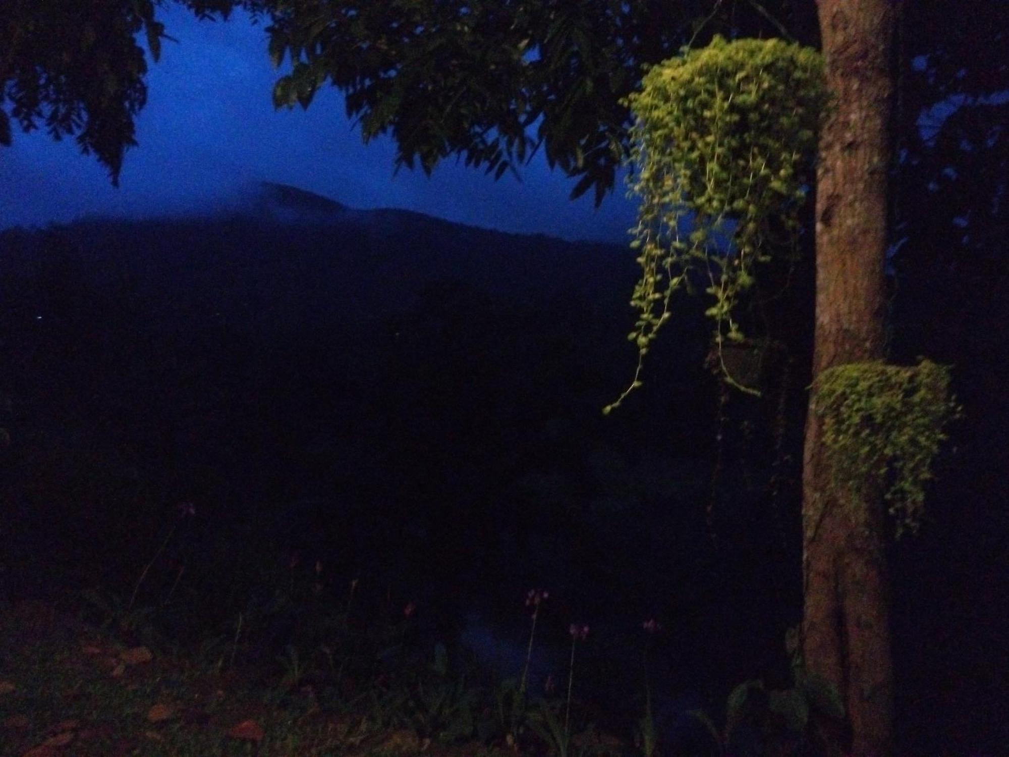 Evergreen Villa - Sinharaja Deniyaya Esterno foto