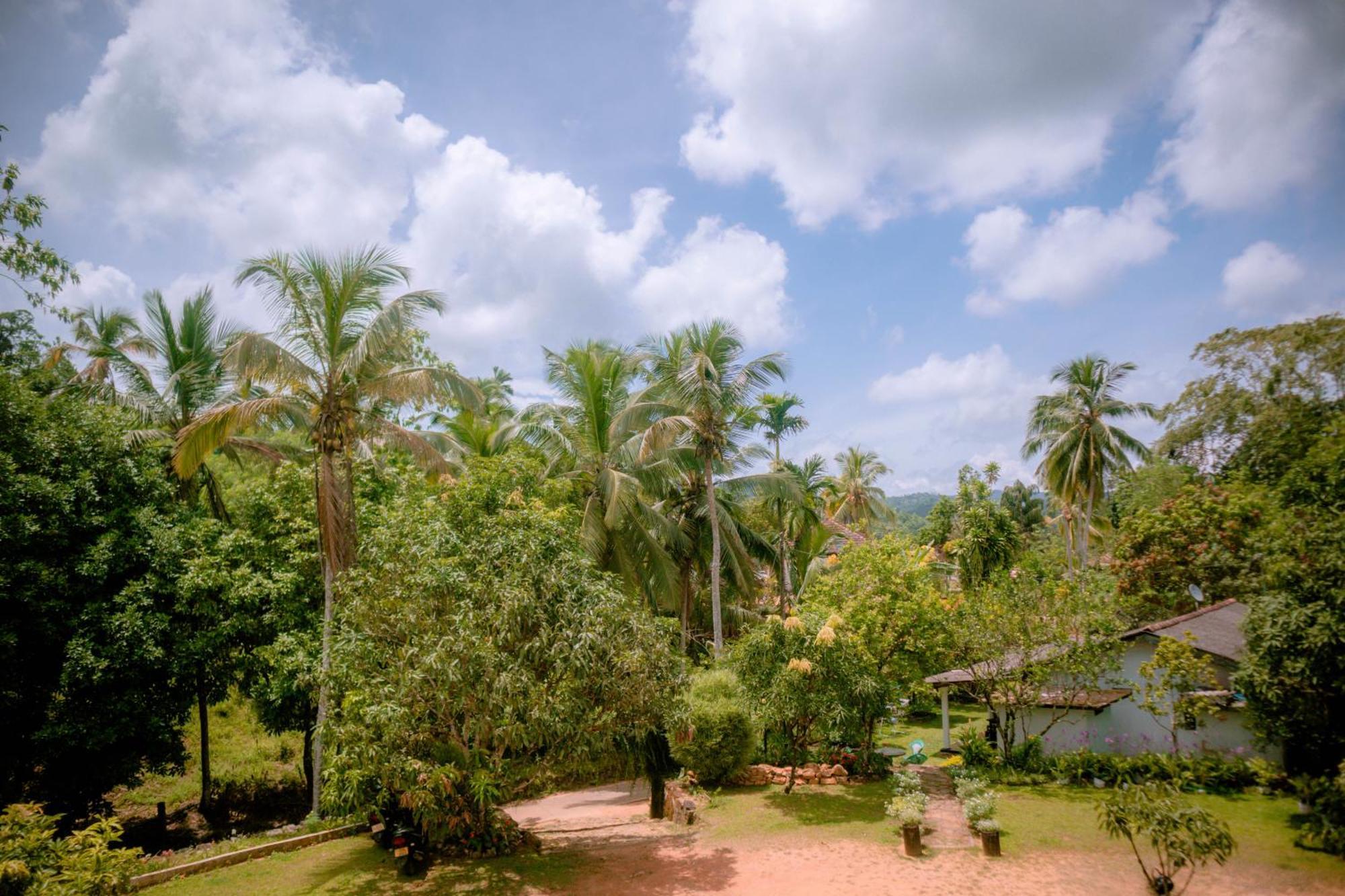 Evergreen Villa - Sinharaja Deniyaya Esterno foto