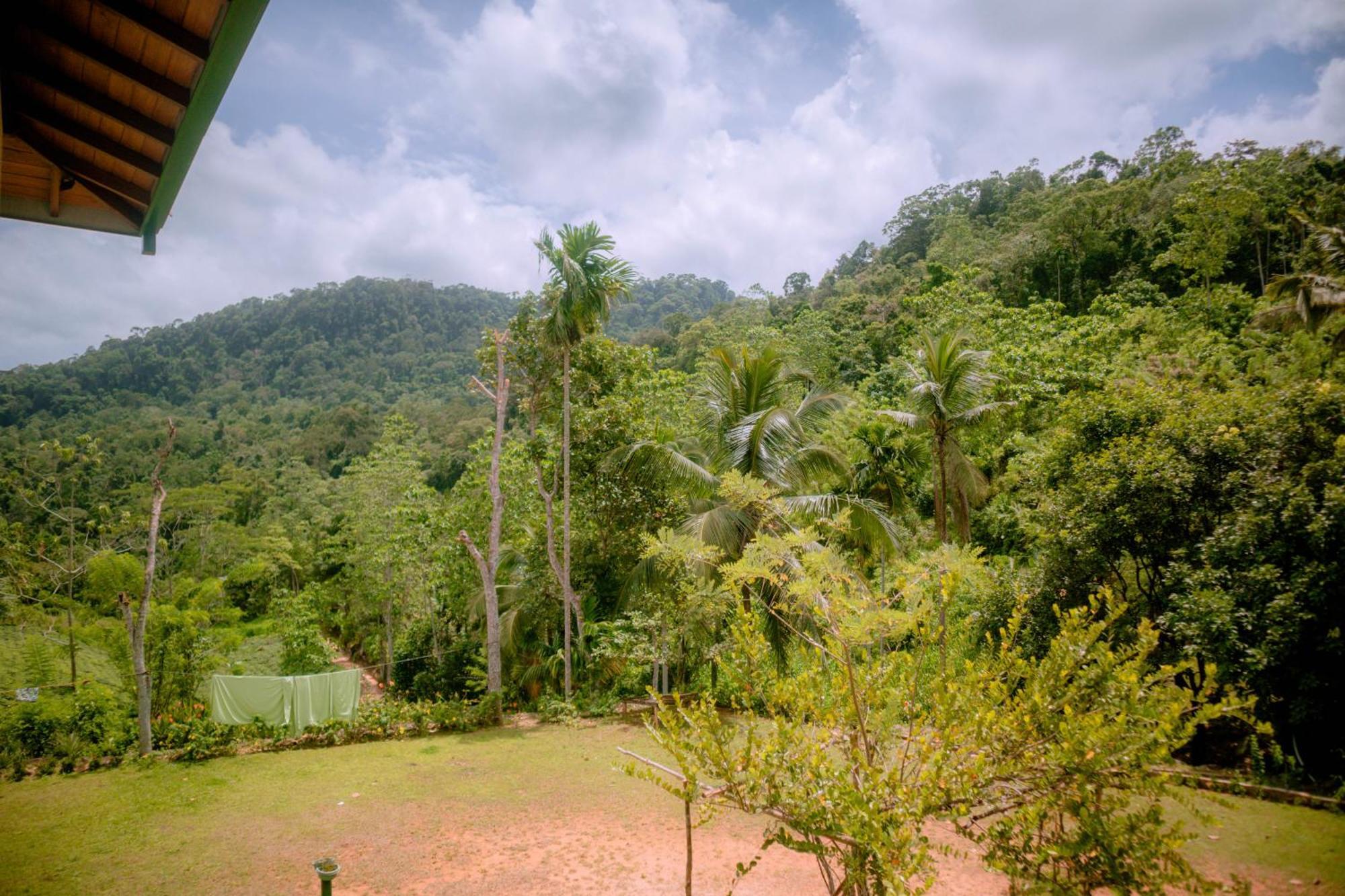 Evergreen Villa - Sinharaja Deniyaya Esterno foto