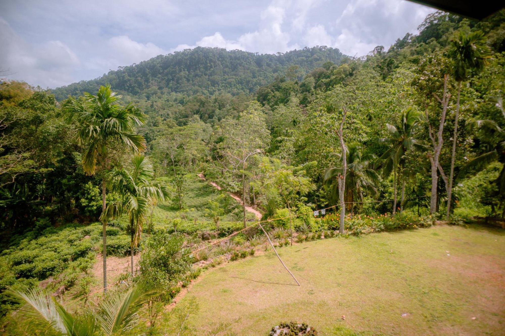 Evergreen Villa - Sinharaja Deniyaya Esterno foto