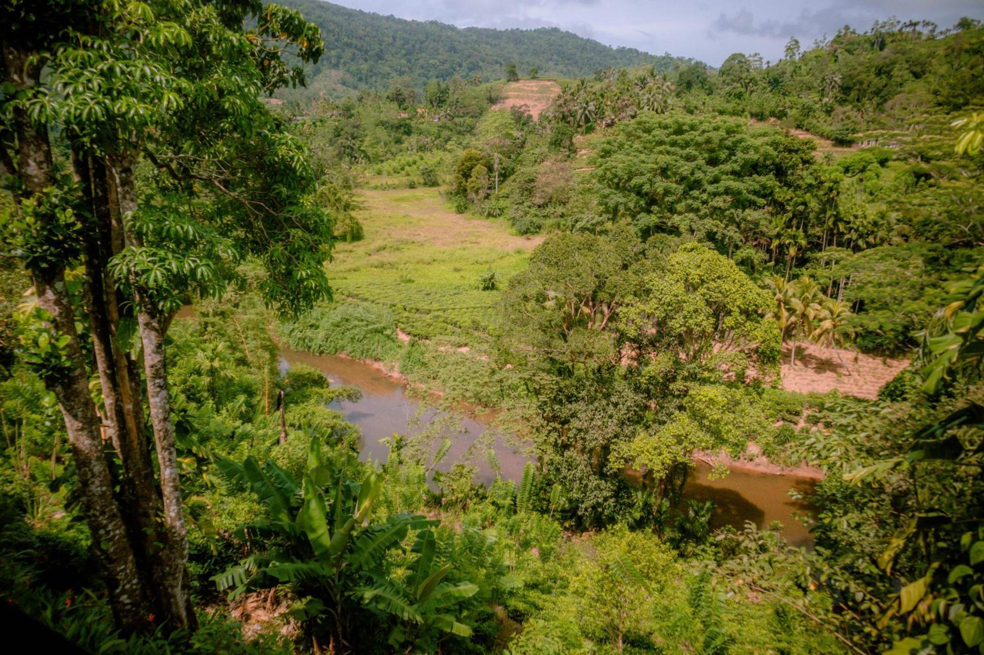 Evergreen Villa - Sinharaja Deniyaya Esterno foto