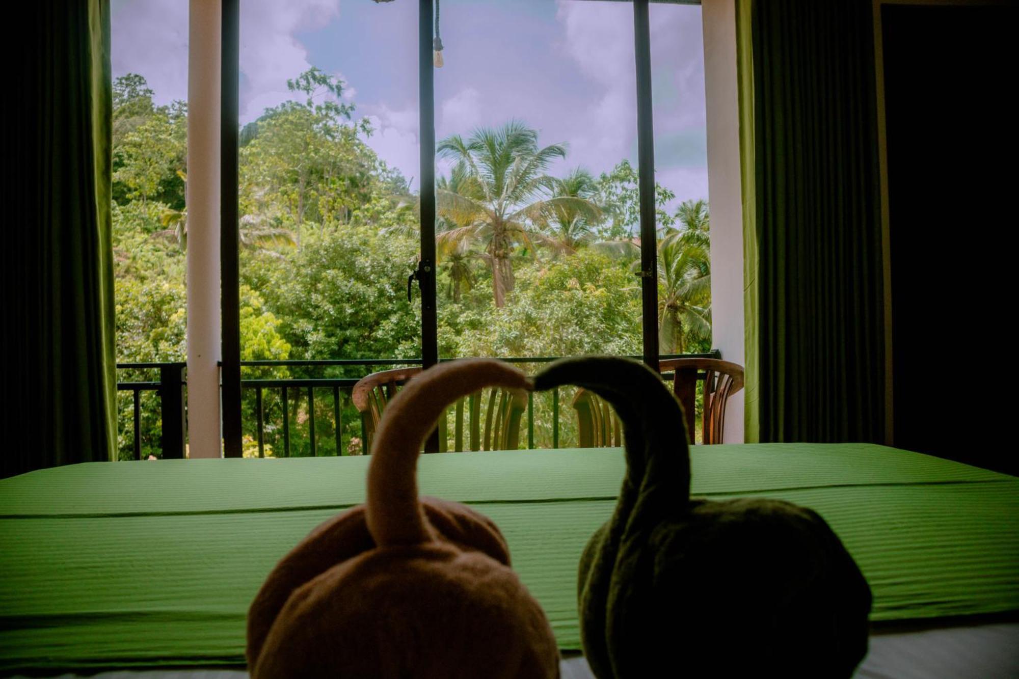 Evergreen Villa - Sinharaja Deniyaya Esterno foto